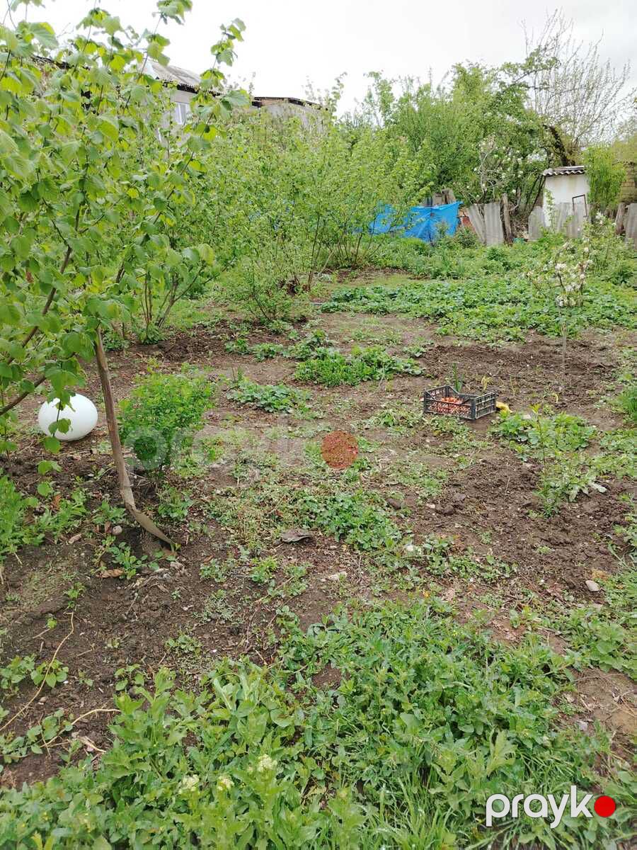 9 sot torpaq sahəsi, Qusar r — Torpaq, Qusar (4)