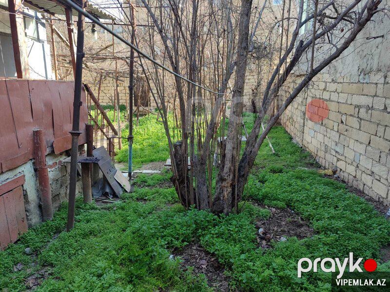 Binəqədi rayonunda 2 otaqlı Həyət evi Satılır, 44 m² — Ev, villa, Bakı (3)