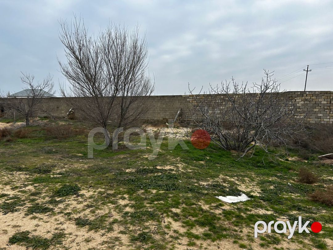 Satılır torpaq 12 sot — Torpaq, Bakı (4)