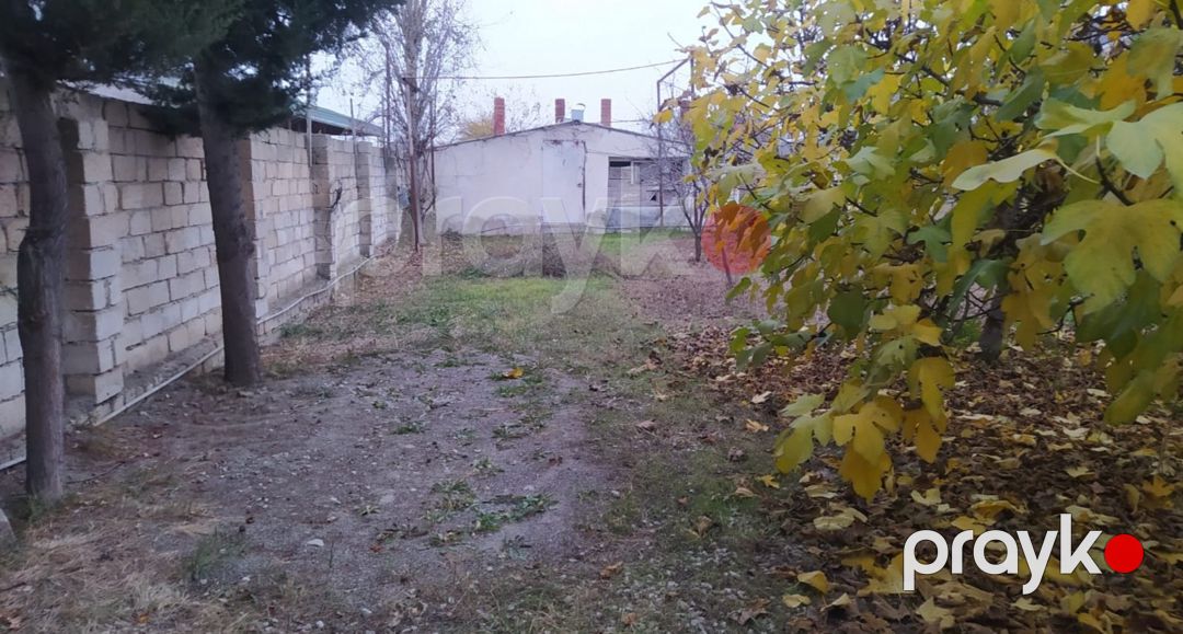 Satılır torpaq 10 sot — Torpaq, Şabran (3)