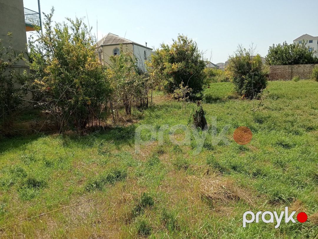 7 sot torpaq sahəsi, Novxanı qəs — Torpaq, Bakı (8)