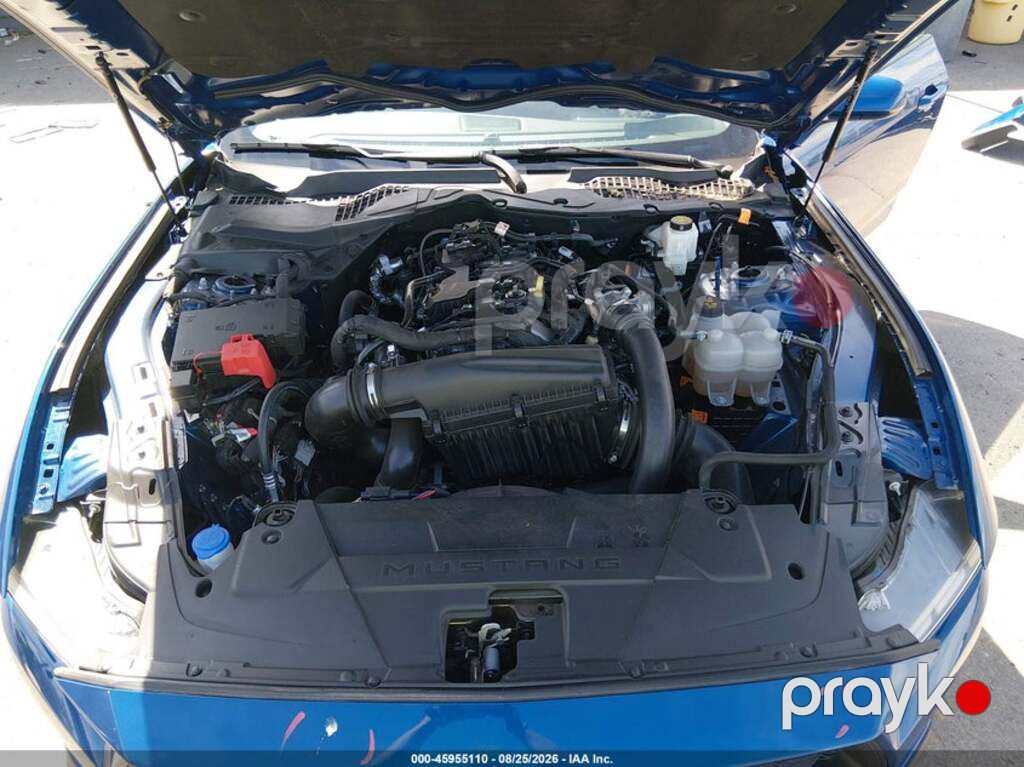 Ford Mustang, 2.3 L, 2024 il, 13 358 km — Avtomobillər (12)