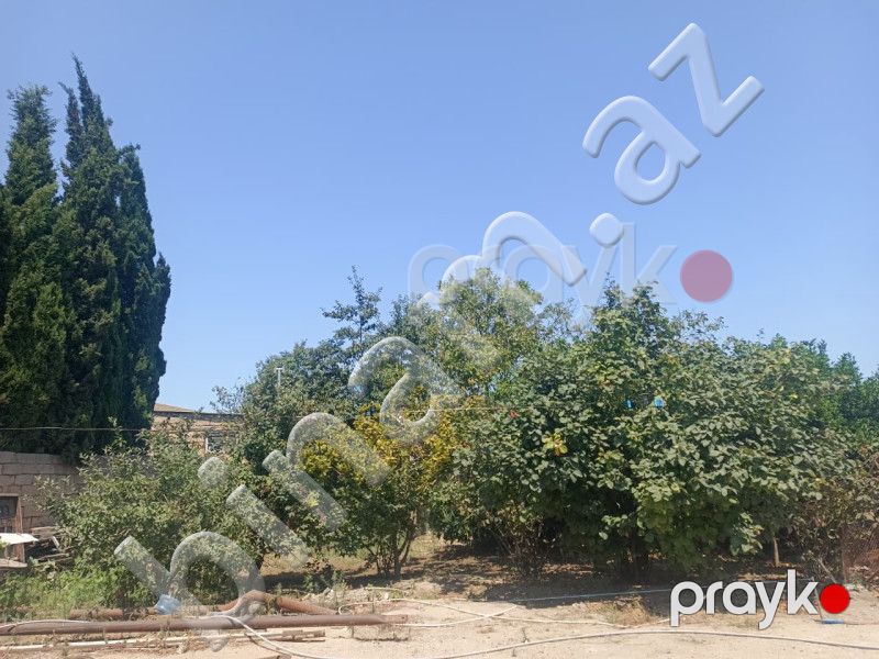 6 sot Torpaq, Satış, Abşeron — Torpaq, Abşeron (4)