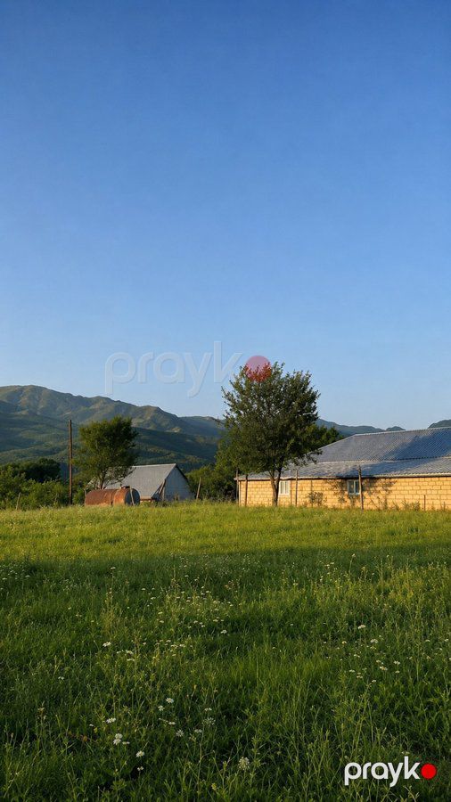 Torpaq sahəsi, 50 sot, Tikinti təyinatlı, Kupçalı, Ismayilli r., İsmayıllı — Torpaq, İsmayıllı (2)