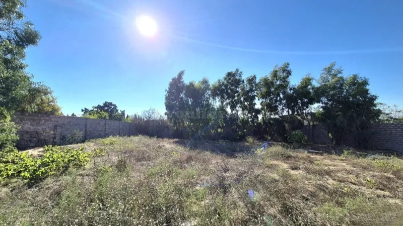 Satılır Torpaq 15 sot Bakı, Sabunçu r., Pirşağı — Torpaq, Bakı (4)