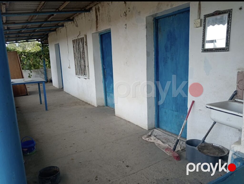 12 sot, Tikinti, Mülkiyyətçi, Kupça (Çıxarış) — Torpaq, Digah (5)