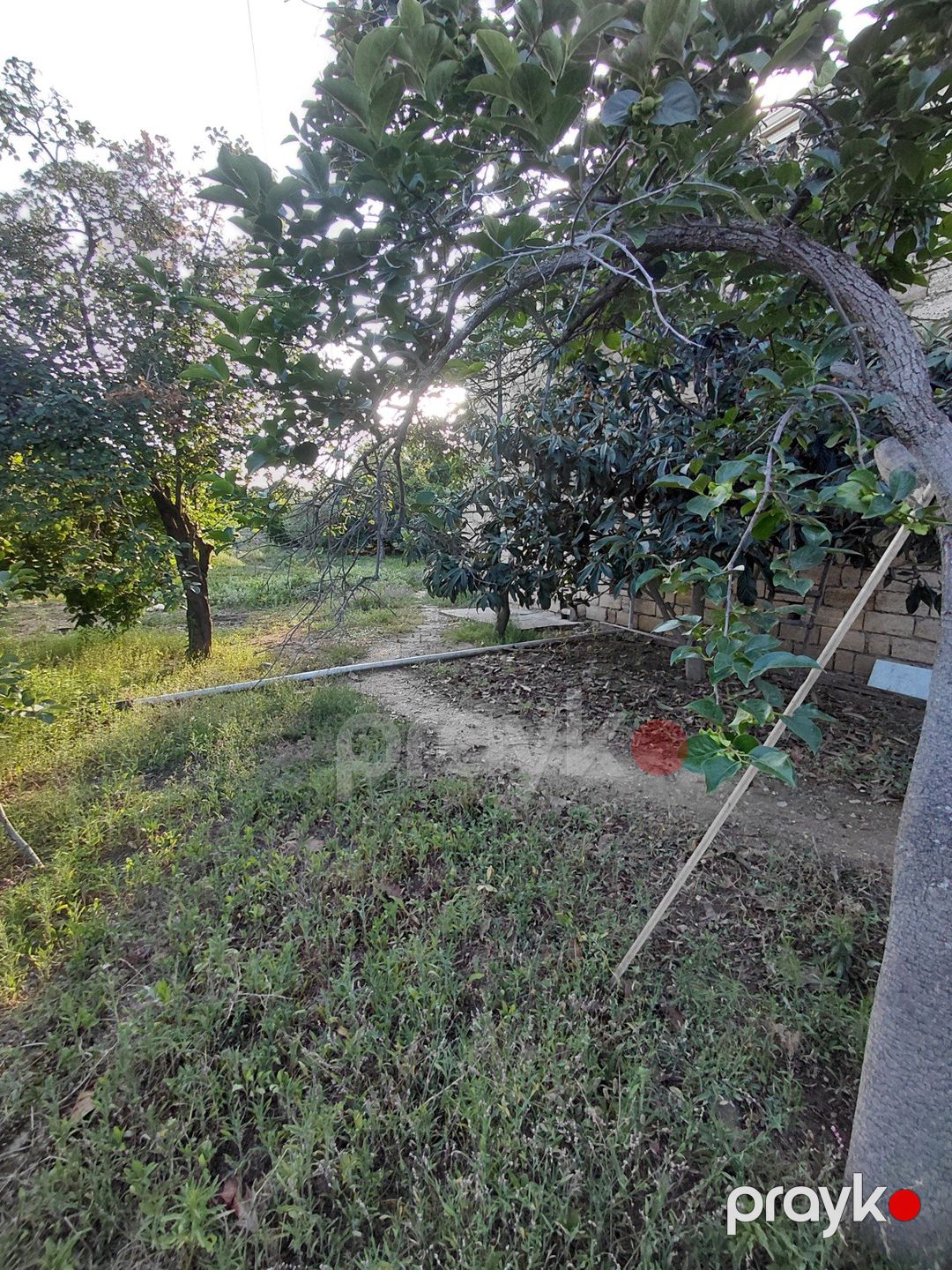 Satılır 5 otaqlı həyət evi/bağ evi 200 m² — Ev, villa, Bakı (6)