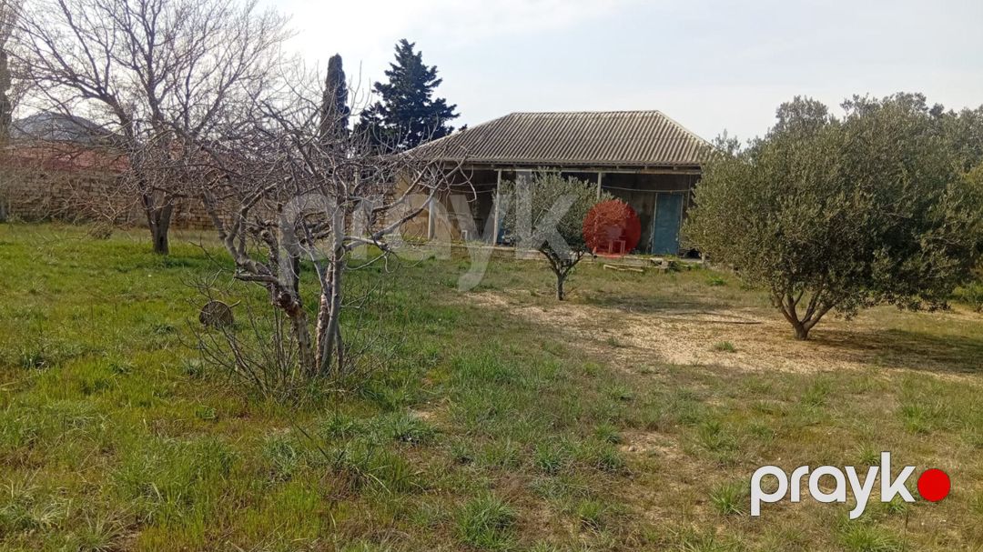 Satılır torpaq 20 sot — Torpaq, Bakı (6)