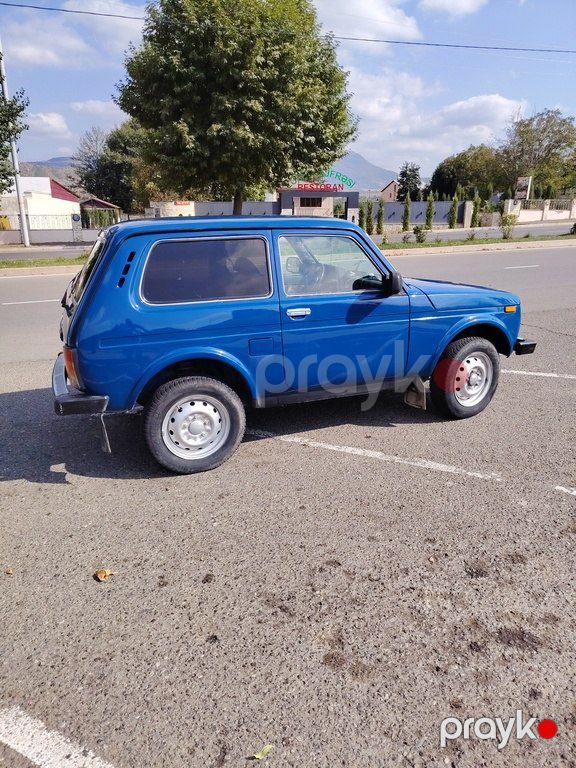 Lada (VAZ) Niva, 1.7 L, 2013 il, 243 000 km — Avtomobillər, Xankəndi (6)