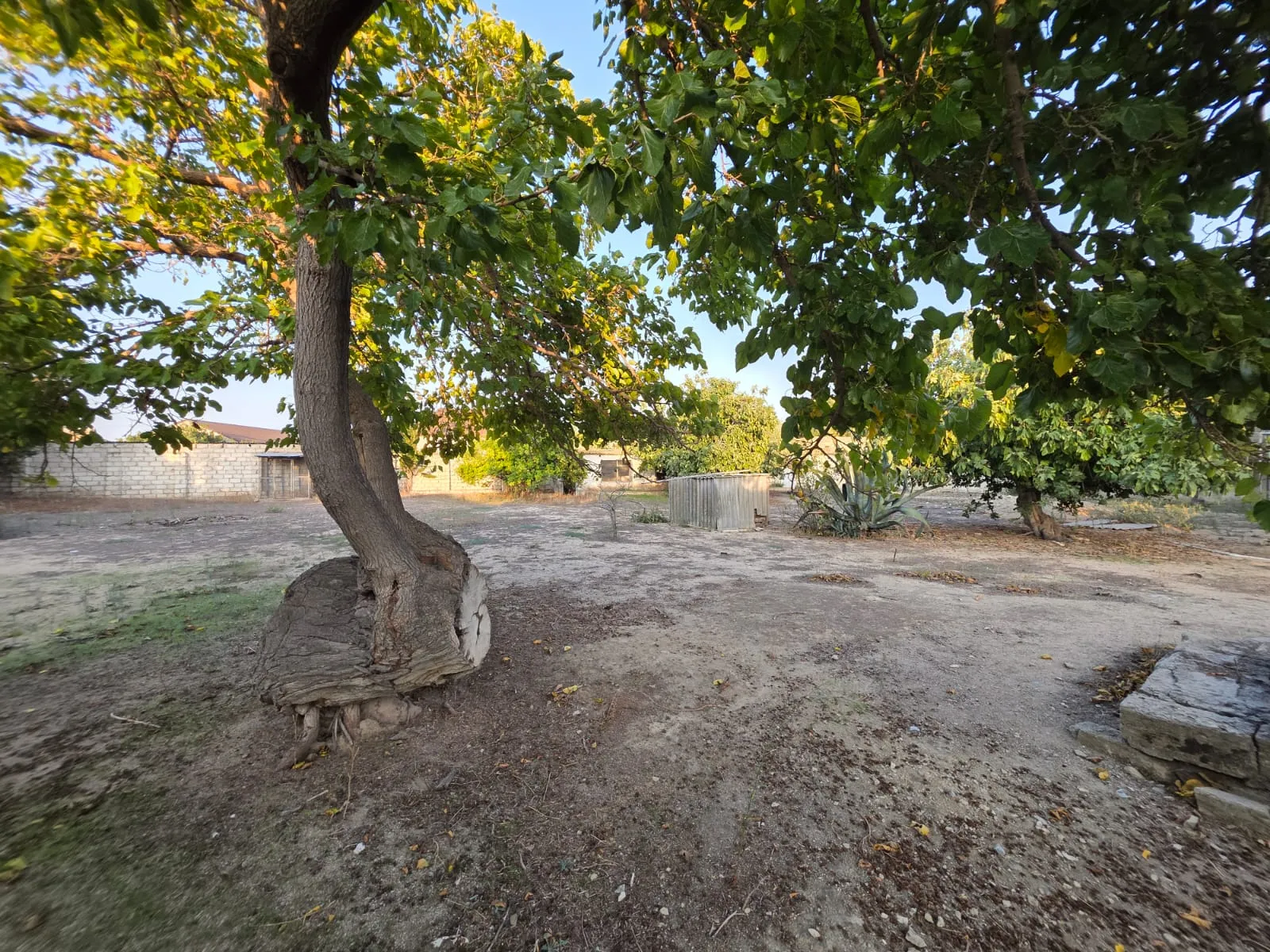 Şüvəlan, Torpaq satılır - 12 sot — Torpaq, Bakı (5)