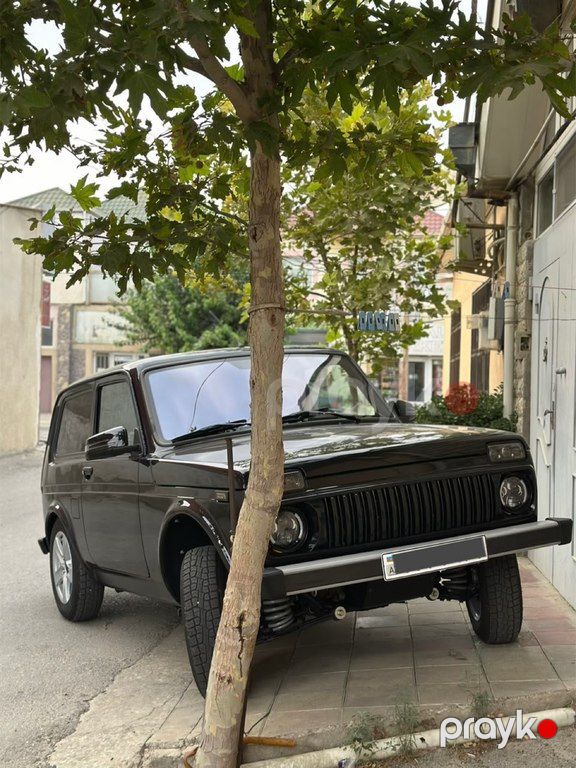 Lada (VAZ) Niva, 1.7 L, 2025 il, 19 600 km — Avtomobillər, Bakı (9)
