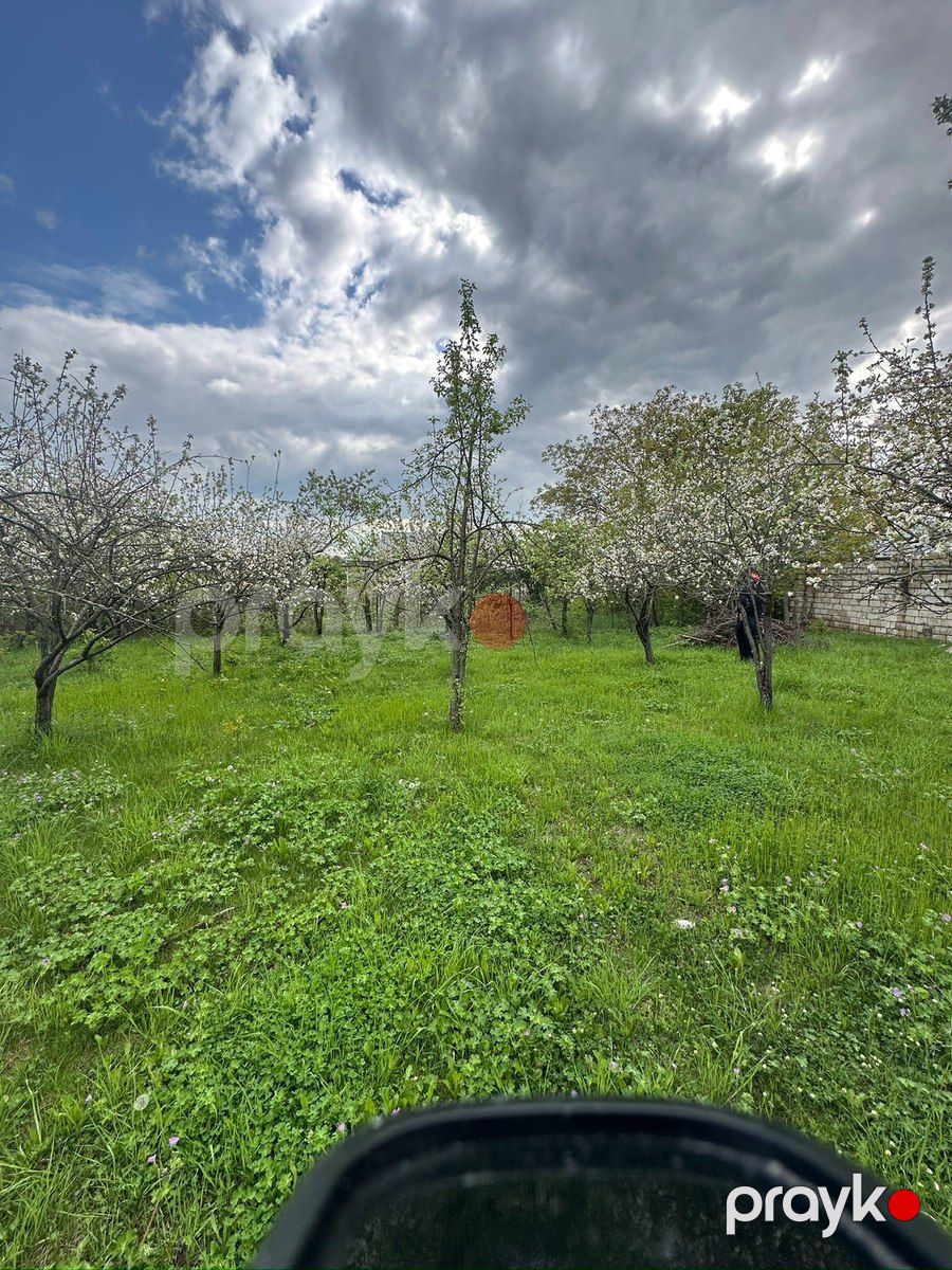 14 sot torpaq sahəsi, İsmayıllı r — Torpaq, İsmayıllı (6)