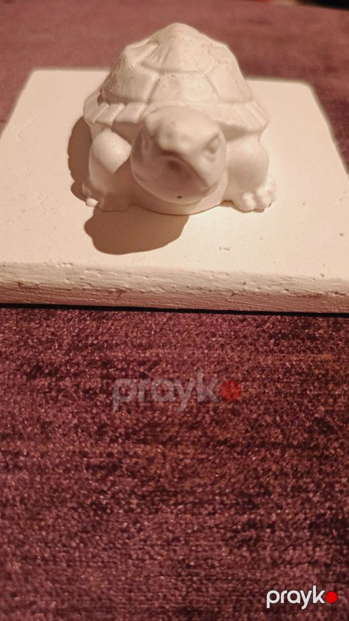 Uşaqlar üçün gips boyama dəsti — Mallar (5)