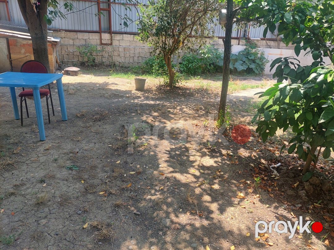 4 sot torpaq sahəsi, Masallı r — Torpaq, Masallı (8)