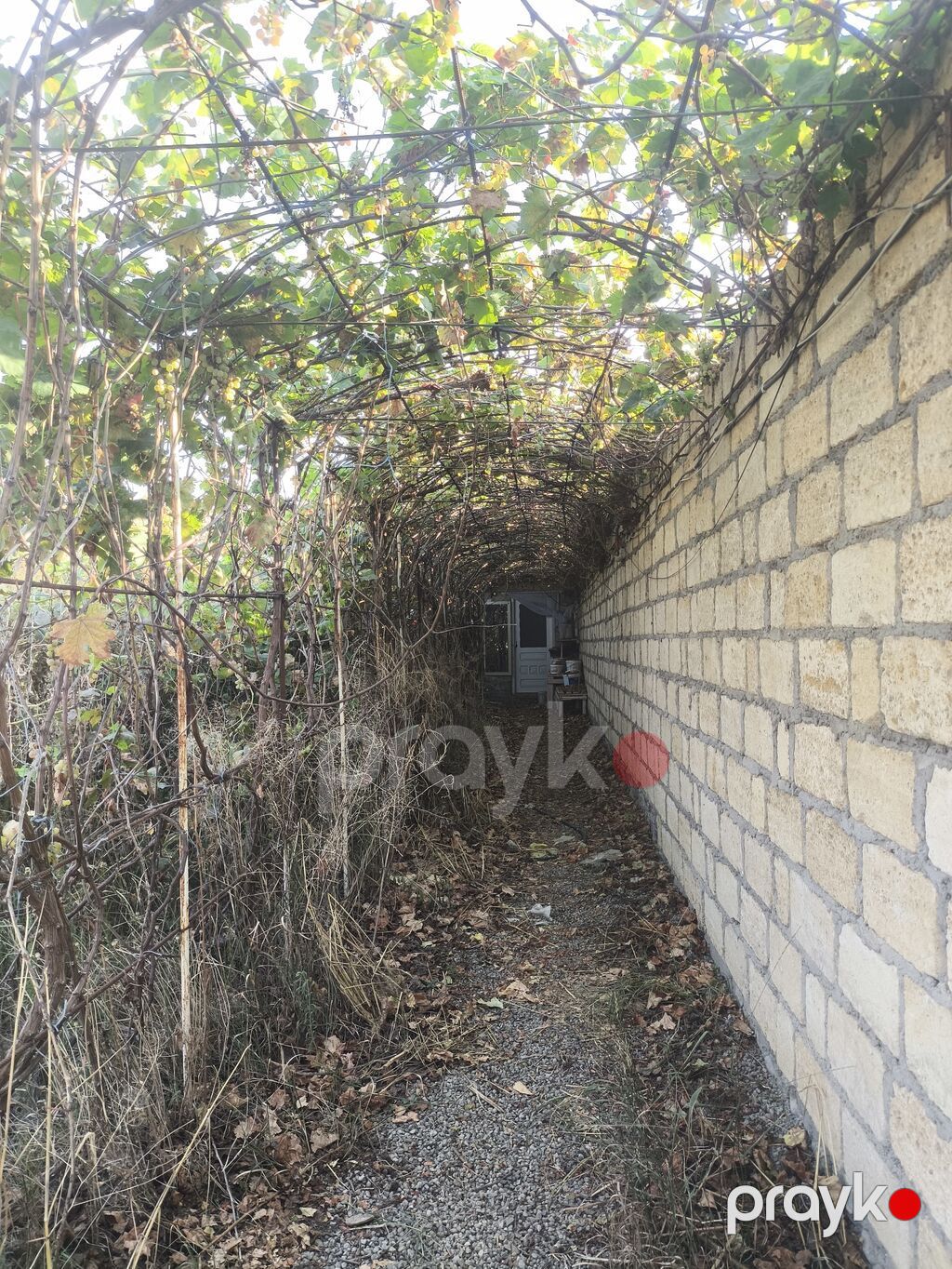 8 sot, Tikinti, Kupça (Çıxarış) — Torpaq, Gəncə (6)