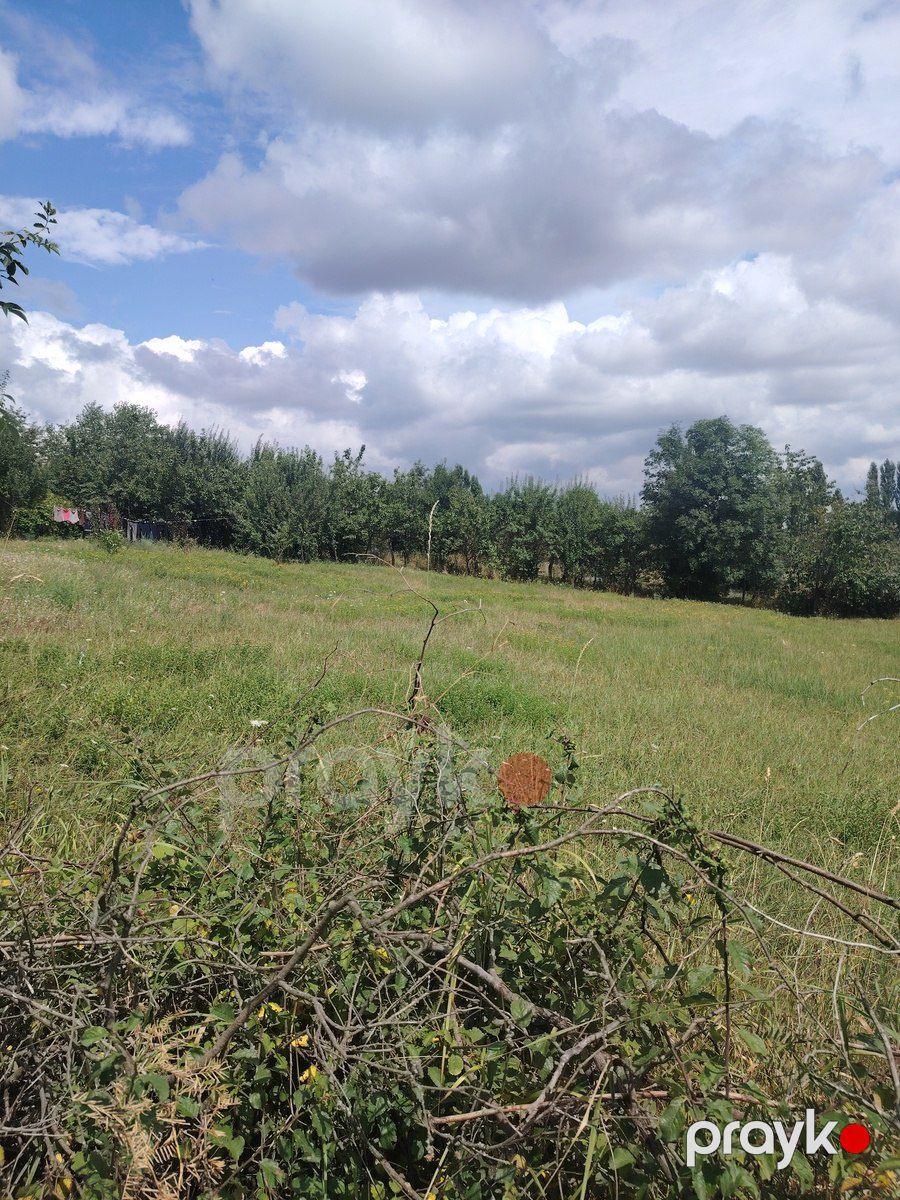 Satılır torpaq 12 sot — Torpaq, Qusar (5)
