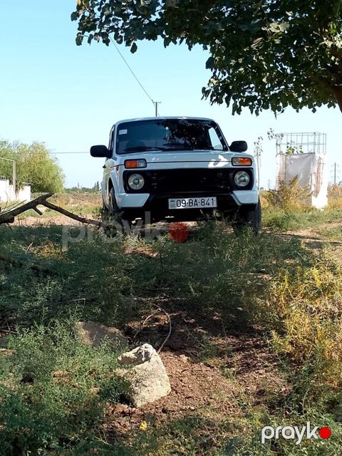 Lada (VAZ) Niva, 1.6 L, 1994 il, 452 314 km — İmişli