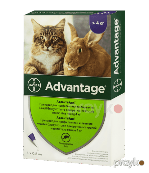 Damcı Bayer Advantage 4 kq yuxarı olan pişiklər və dovşanlar üçün (1 pipet) — Bakı