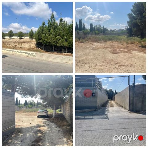 8 sot, Kupça (Çıxarış) — Digah