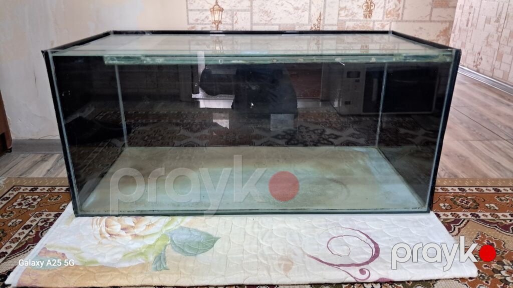 Dördbucaq akvarium, Boş, 225 l — Akvariumlar və balıqlar, Bakı (2)