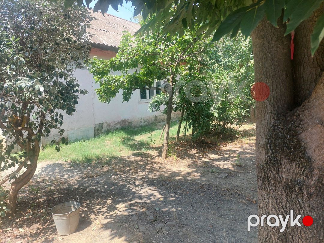 4 sot torpaq sahəsi, Masallı r — Torpaq, Masallı (12)