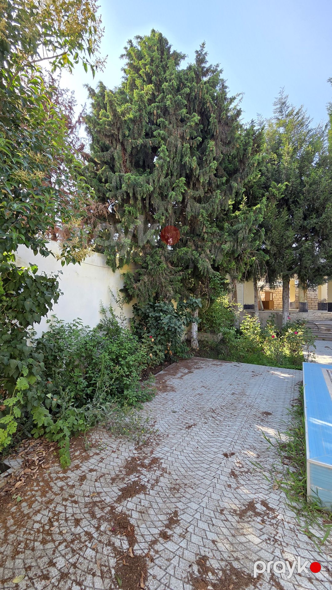 Mərdəkan korpusunun saginda 5sot torpaq sahesi satilir — Torpaq, Bakı (3)