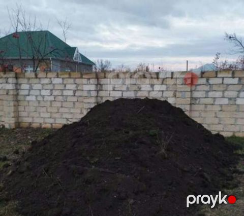 Qara torpaq, peyin — Bakı