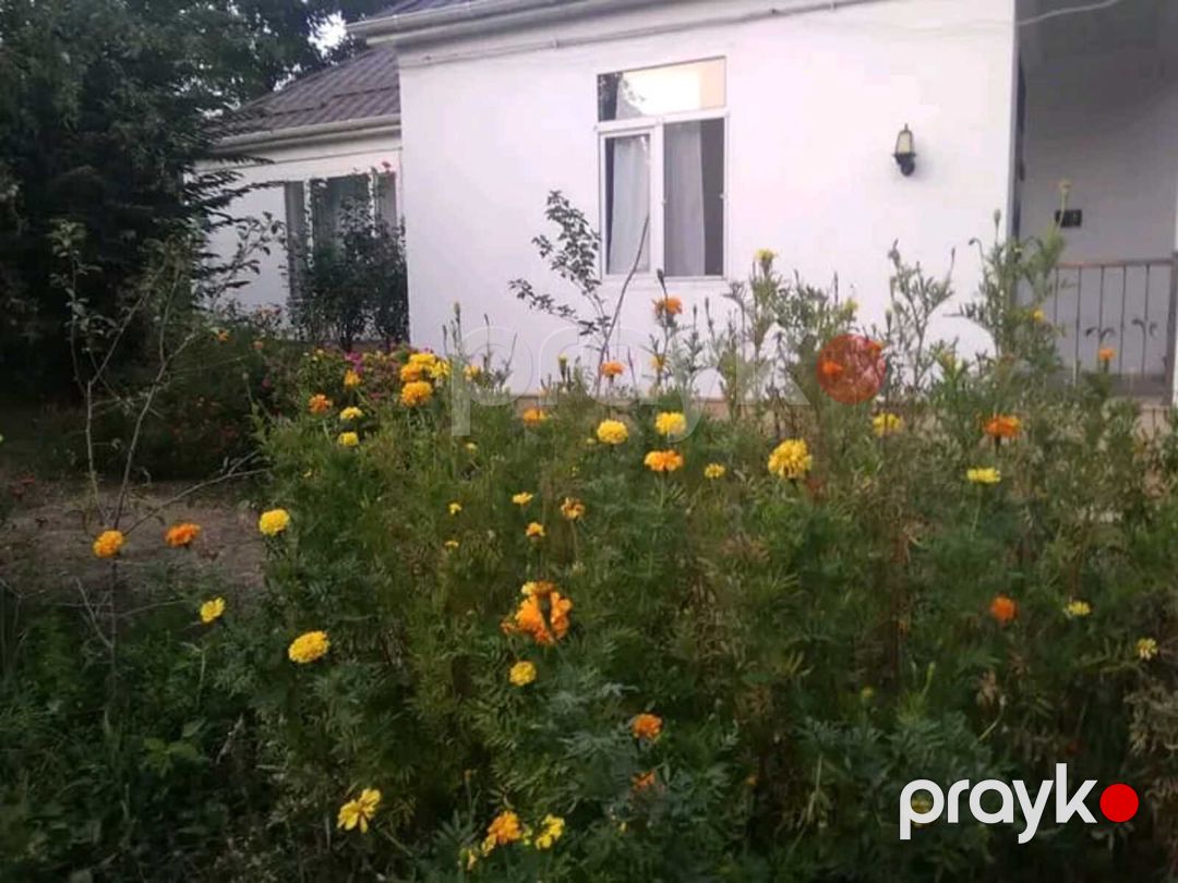 İcarəyə verilir 3 otaqlı həyət evi/bağ evi 120 m² — Ev, villa, Qusar (11)