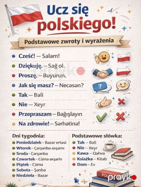 Polyak dili kursu — Bakı