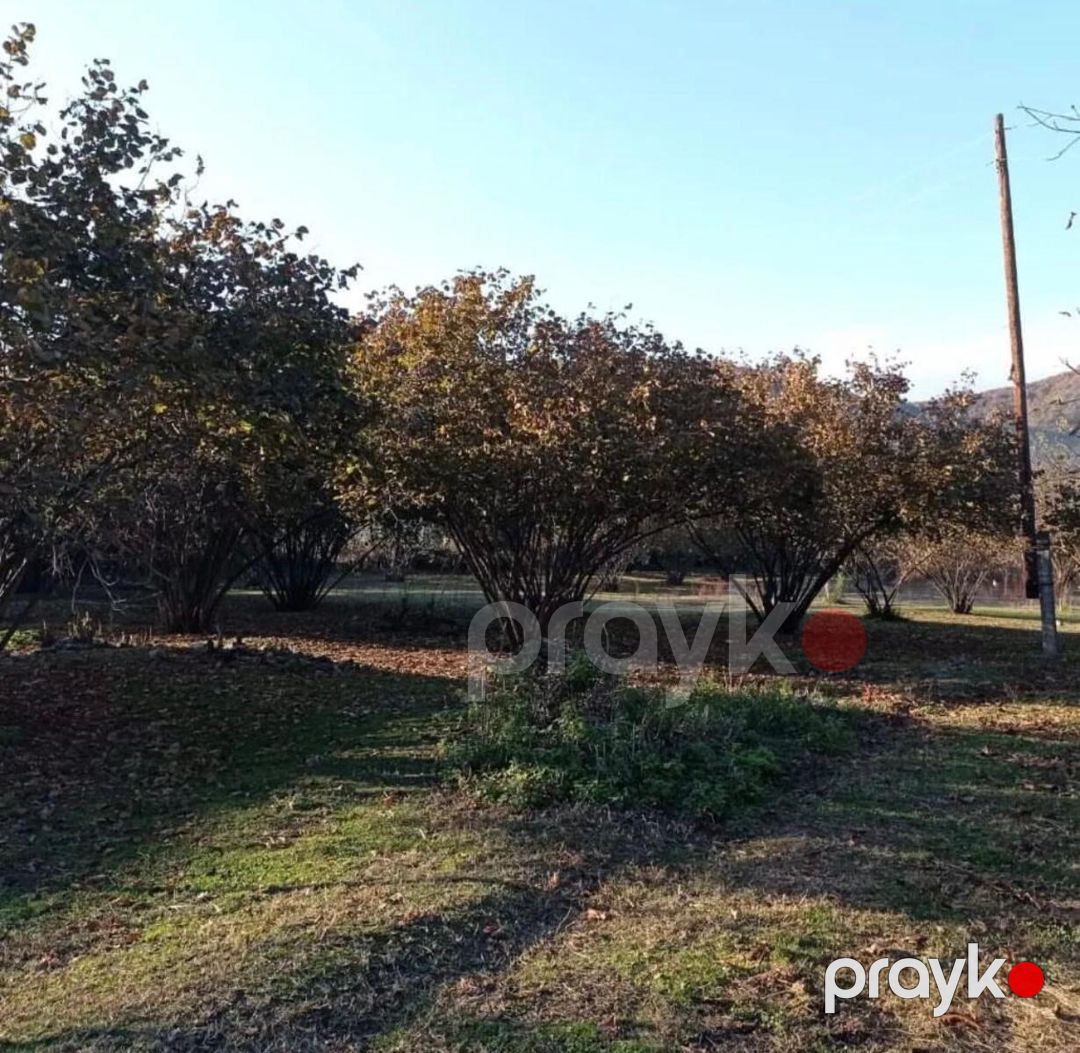 Satılır torpaq 54 sot — Torpaq, Zaqatala (5)