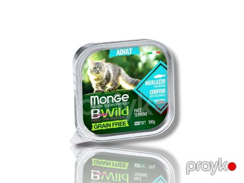 Monge Cat Adult Bwild Pate Terrine Merluzzo 100 qr — Bakı