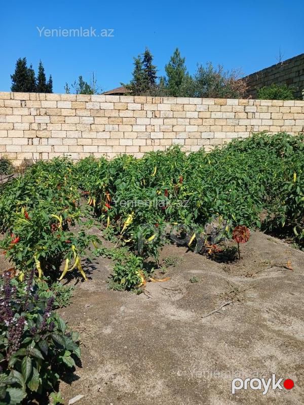 Satılır Torpaq sahəsi, 10 sot, Novxanı — Torpaq, Abşeron (5)