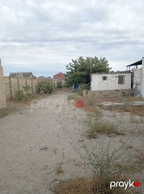 12 sot, Tikinti, Mülkiyyətçi, Kupça (Çıxarış) — Digah