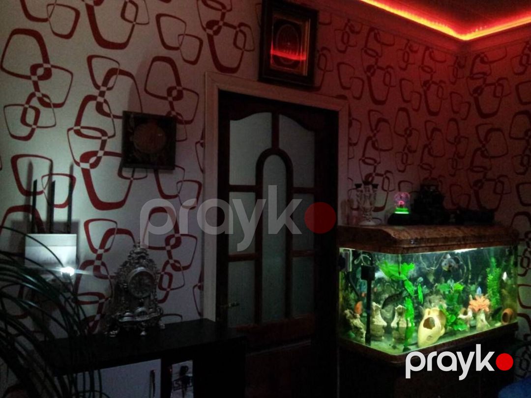 Akvarium — Akvariumlar və balıqlar, Bakı (2)