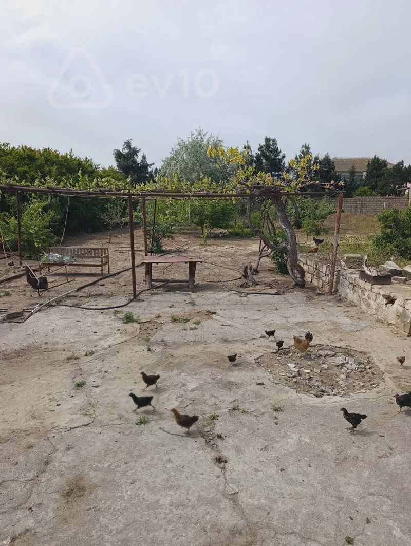 Torpaq sahəsi, 8.6 sot, Bilgəh qəsəbəsi — Torpaq, Bakı (3)