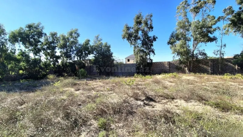 Satılır Torpaq 15 sot Bakı, Sabunçu r., Pirşağı — Torpaq, Bakı (7)