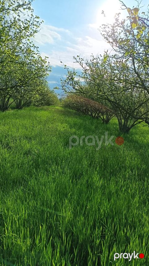 130 sot torpaq sahəsi, Xaçmaz r — Xaçmaz