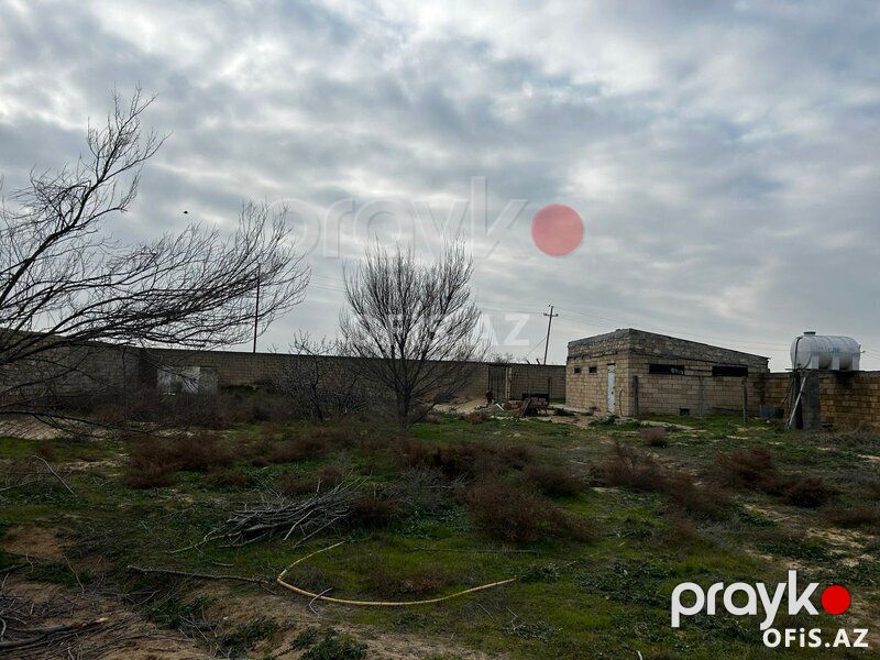 Torpaq Satılır Sabunçu r., Nardaran q., 5 sot — Torpaq, Bakı (5)