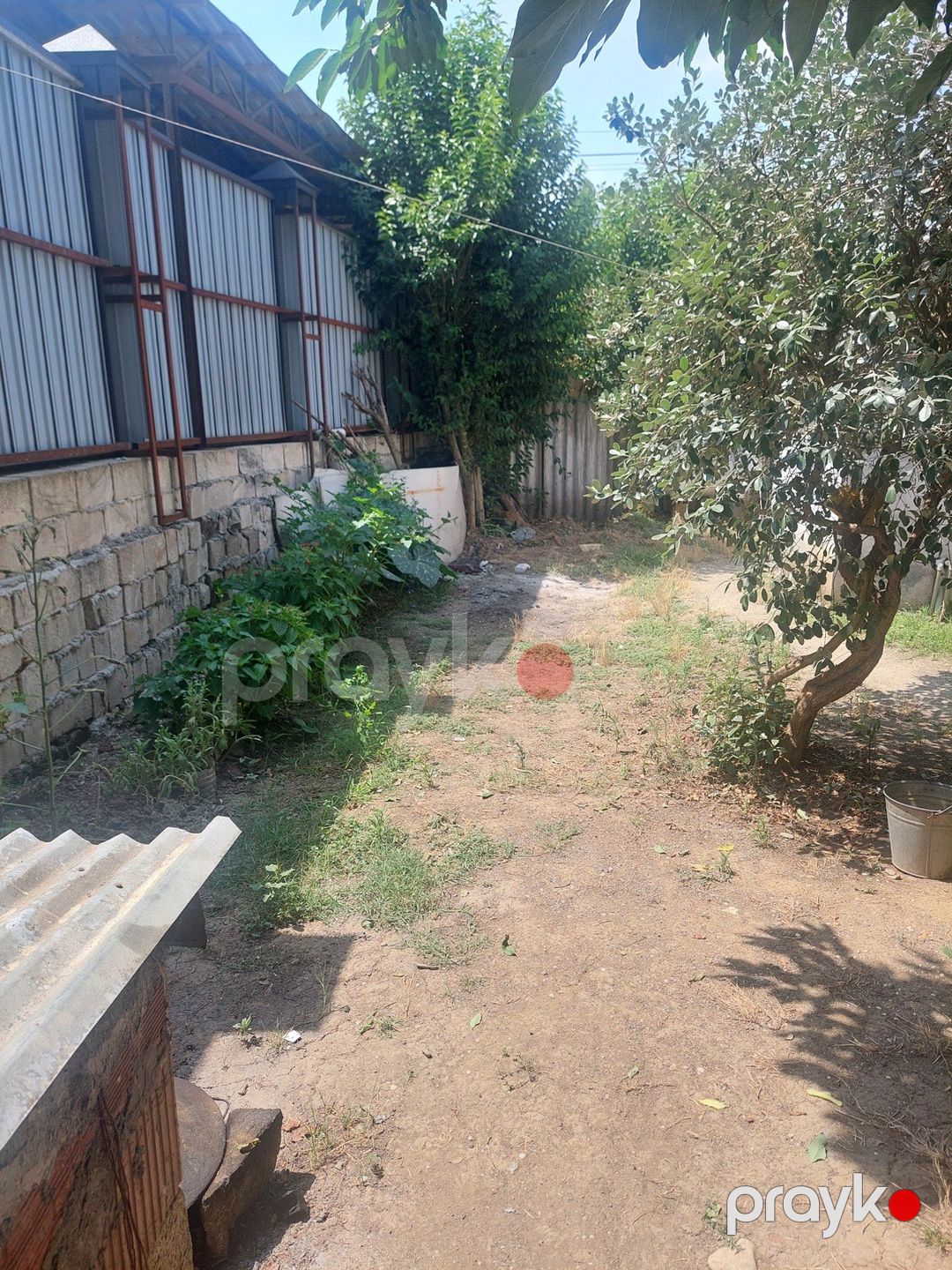 4 sot torpaq sahəsi, Masallı r — Torpaq, Masallı (3)