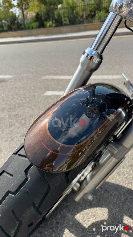 Harley-Davidson Sportster Custom 1200, 1200 sm3, 2013 il, 3 000 km — Motosikletlər, Bakı (11)