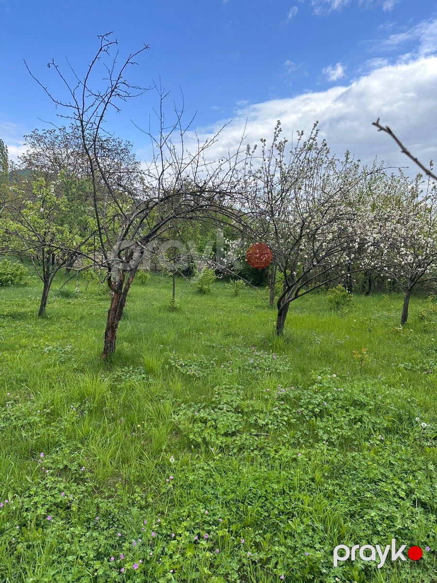 14 sot torpaq sahəsi, İsmayıllı r — Torpaq, İsmayıllı (5)