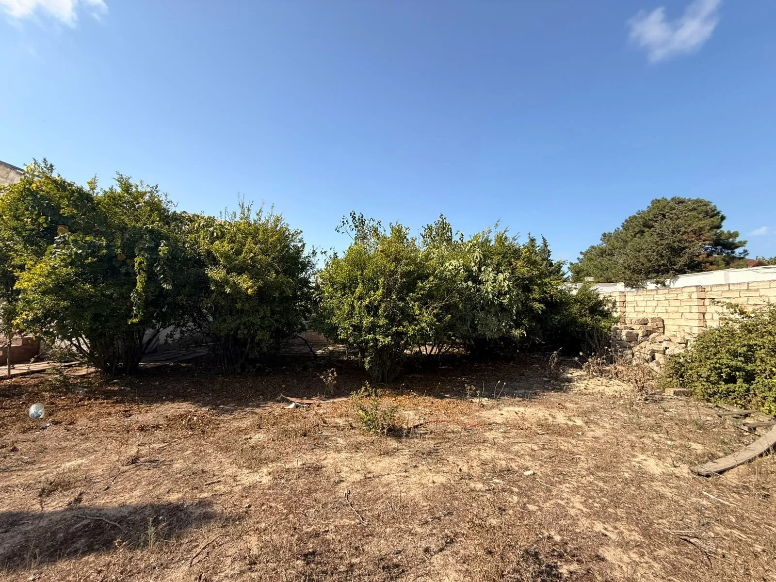 Xəzər r., Torpaq satılır - 6 sot — Torpaq, Bakı (2)