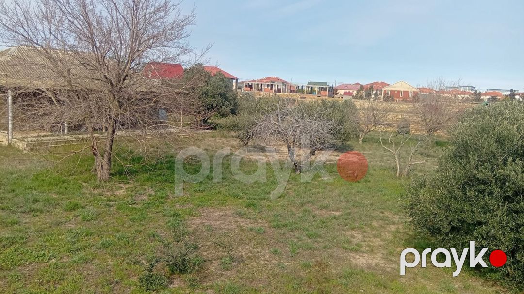 Satılır torpaq 20 sot — Torpaq, Bakı (9)