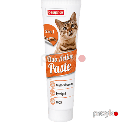 Multivitamin pasta pişiklər üçün Beaphar Duo Active Paste, 100 q — Bakı