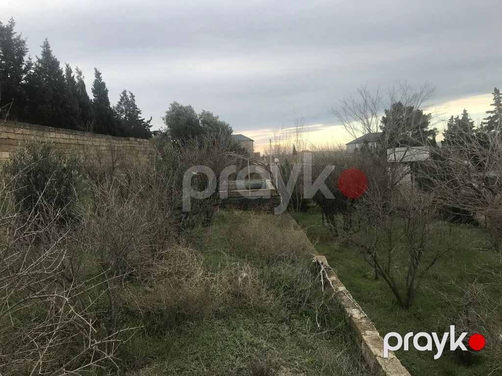 Xüsusi mülkiyyət, su, işıq, qaz, internet xətləri mövcüddur. Hamısı — Torpaq, Saray (2)