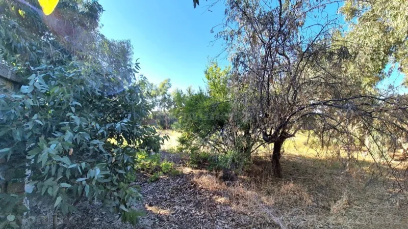 Satılır Torpaq 15 sot Bakı, Sabunçu r., Pirşağı — Torpaq, Bakı (3)
