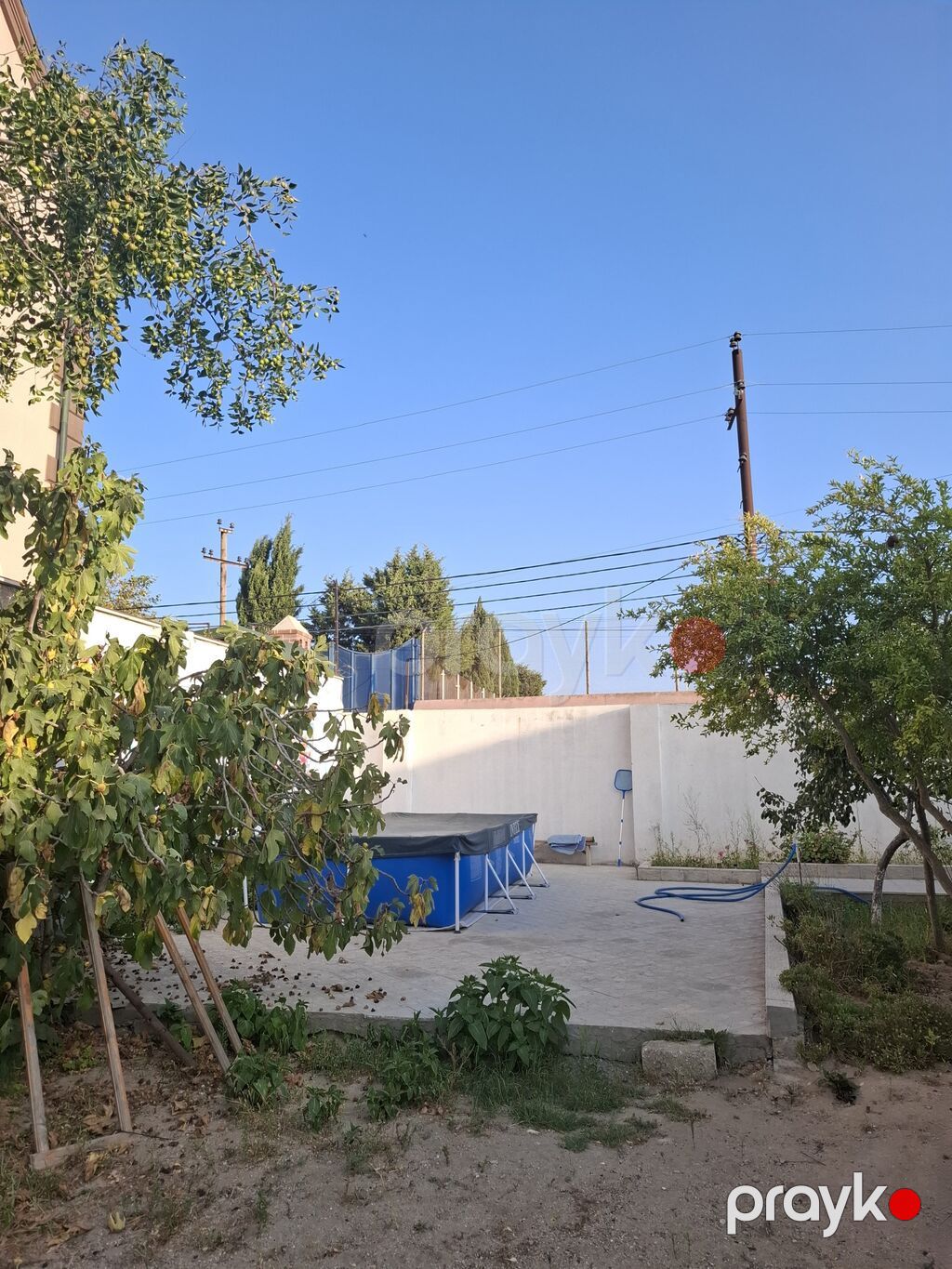Meyvə bağ sahəsi satılır - Sahədə müxtəlif meyvə ağacları əkilib — Torpaq, Bakı (3)