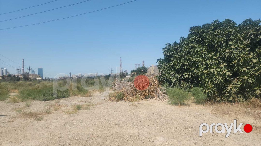Satılır torpaq 14 sot — Torpaq, Bakı (2)