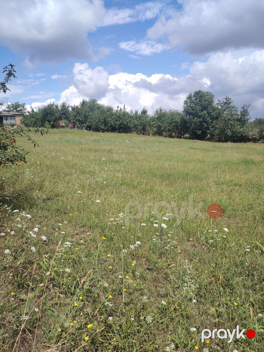 Satılır torpaq 12 sot — Torpaq, Qusar (3)