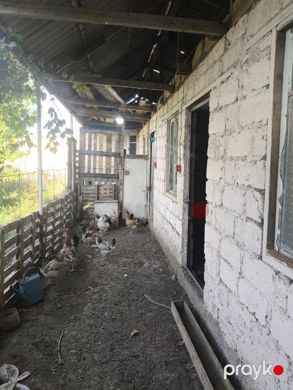 8 sot, Tikinti, Kupça (Çıxarış) — Torpaq, Gəncə (10)
